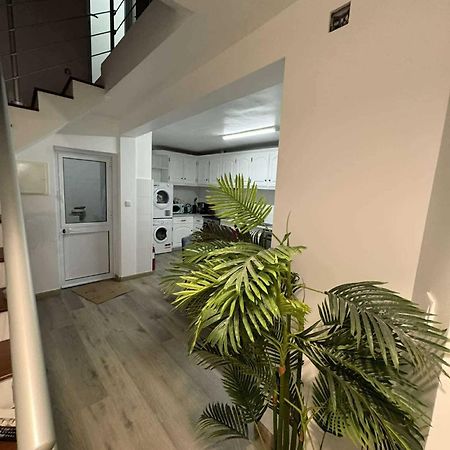 Alvarenga House Maia  Ngoại thất bức ảnh